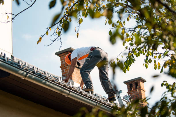 Quick and Trustworthy Emergency Roof Repair Services in South Pasadena, FL
